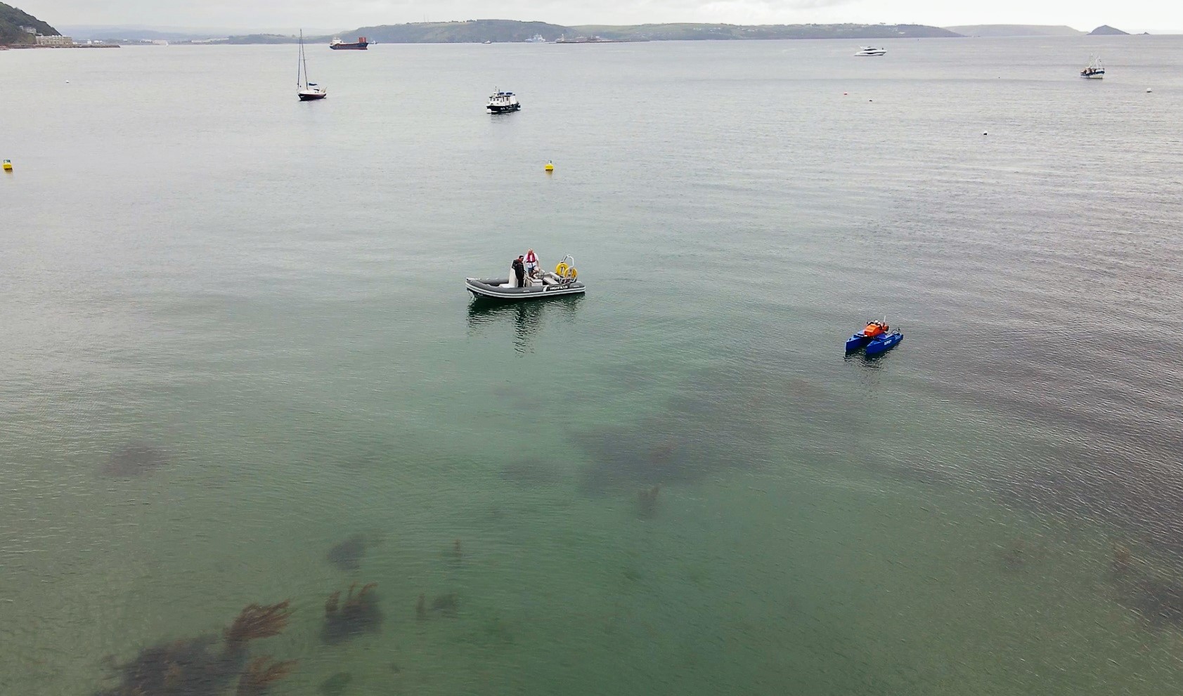South West England Innovators Collaborate to Develop Enhanced Solutions for Seagrass Monitoring